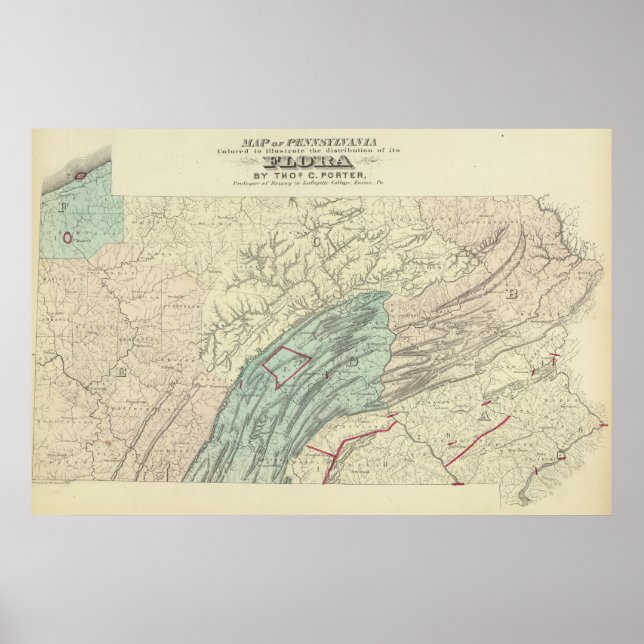 Póster Flora penn (Frente)