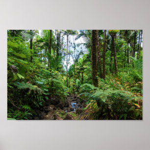Poster Flora tropical da floresta tropical de el yunque