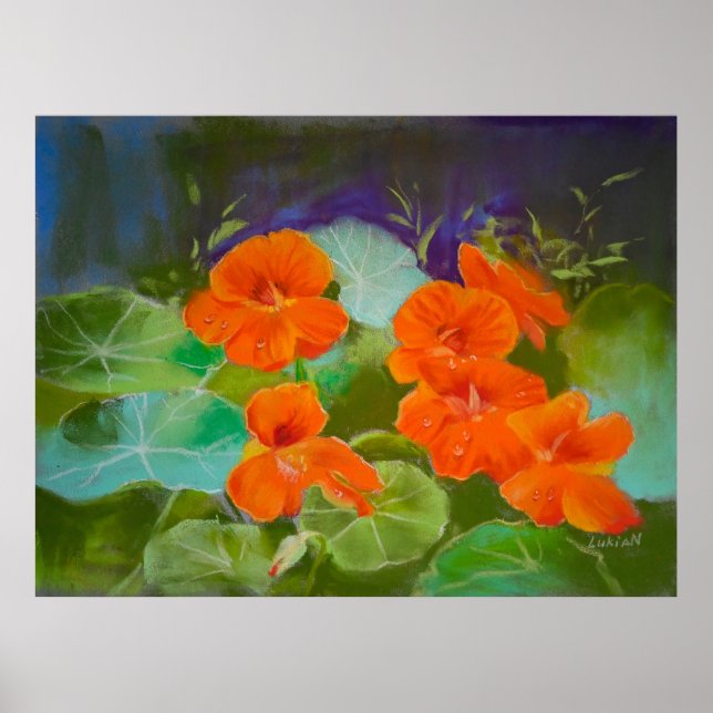Poster Floração de Nastúrcio - Pastel Botânico (Frente)