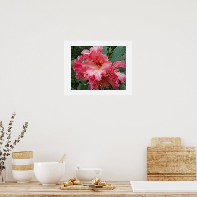 Poster Floração de Rododendro Rosa Fotografia Floral (Cozinha)