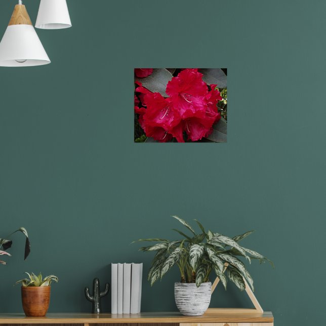 Poster Floração de Rododendro Rosa Intenso Fotográfico (Sala de Estar 1)