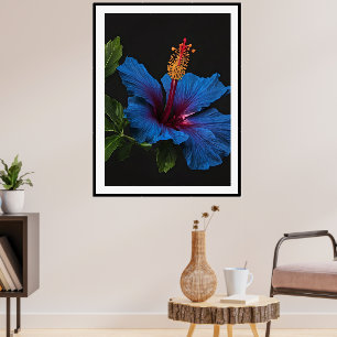 Poster "Floração Serena: A Beleza das Flores de Hibisco A