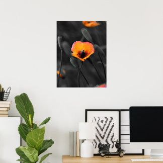 Poster Floração Solitária em Monocromia