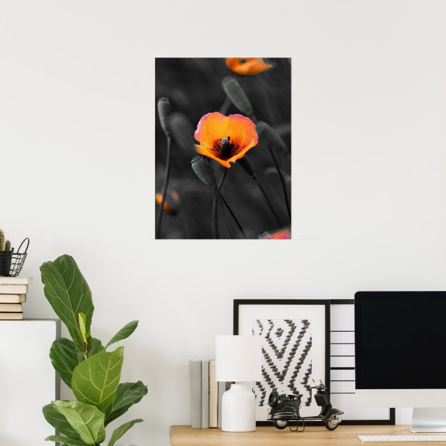 Poster Floração Solitária em Monocromia (Escritório em casa)