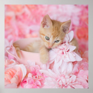 Poster Floral cor-de-rosa do Loki