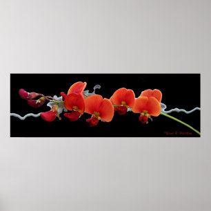 Poster floral da arte