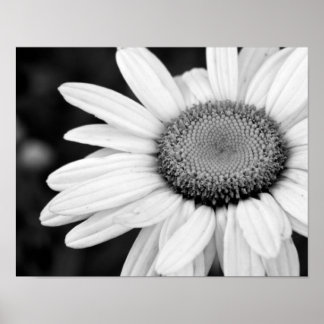 Póster floral de fotografia branca e macronegra vibrante
