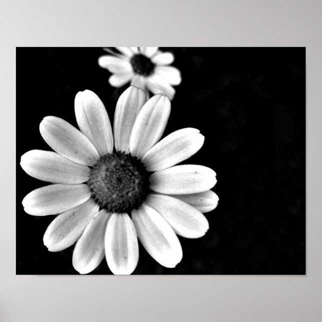 Poster floral de fotografia branca e macronegra vibrante (Frente)
