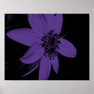 Poster Floral de girassol abstrato Puro