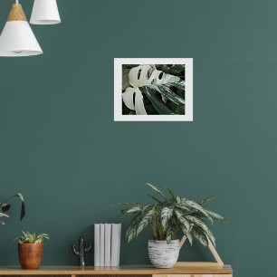 Poster Floral de Queijo Suíço Variegado