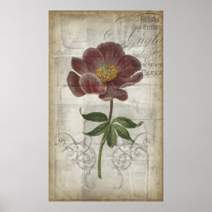 Póster Floral I Francês