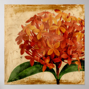 Póster Floral III vibrante