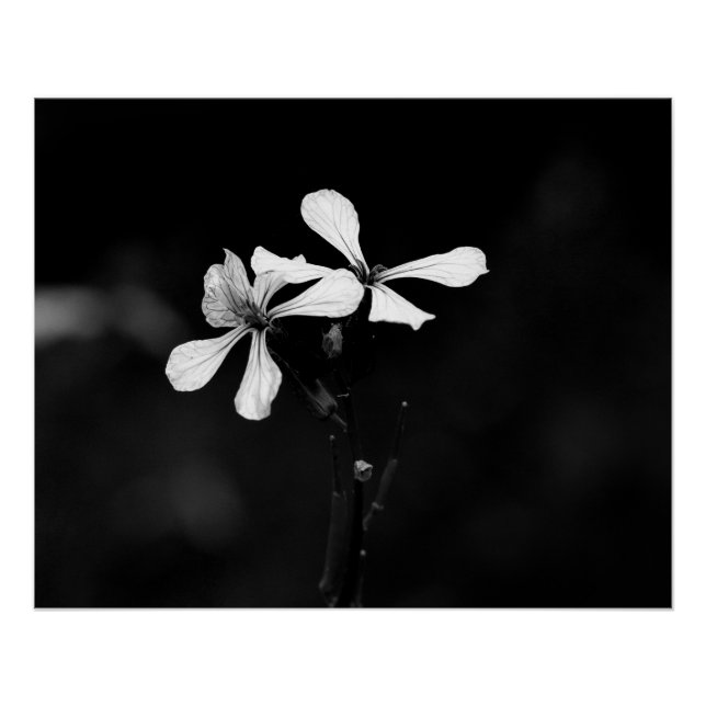 Póster floral preto e branco minimalista (Frente)