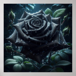 Poster Floral Rosa preto