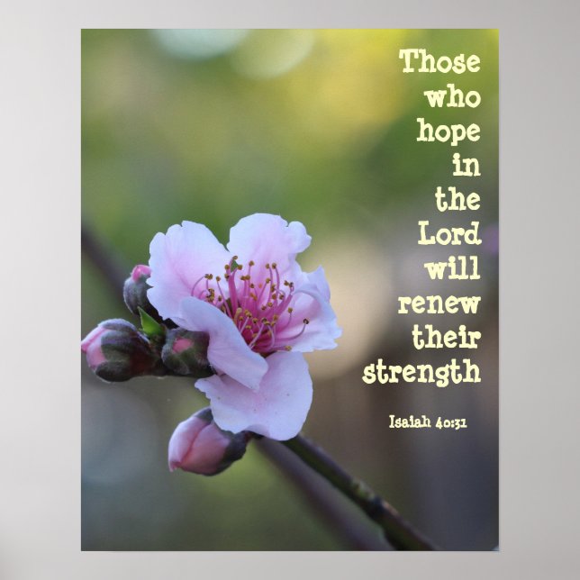 Poster Floral w Verse de Isaiah 40:31 (Frente)
