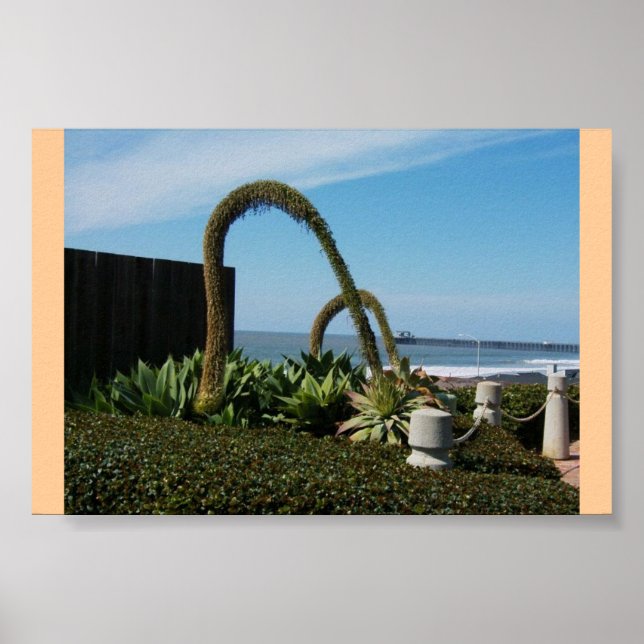 Póster Floral Wonders (Frente)