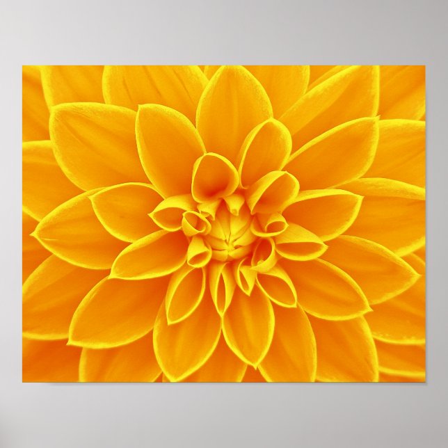 Poster floreira-663650 BRIGHT VERÃO ORANGE YELLOW FLOWERS (Frente)