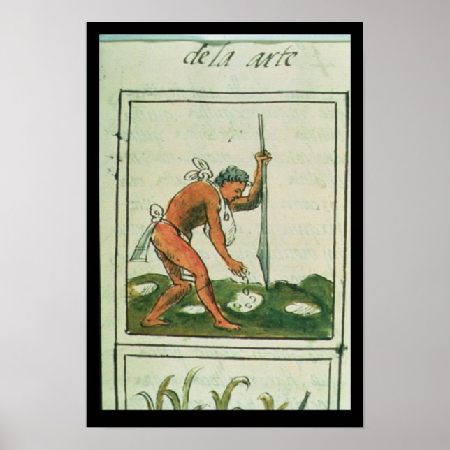 Póster Florentine Codex" por Bernardino de Sahagun (Frente)