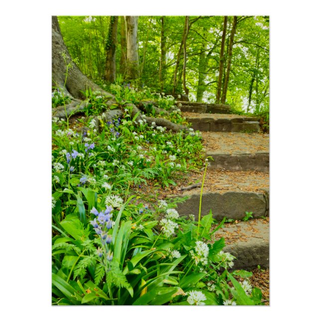 Póster Flores (Frente)