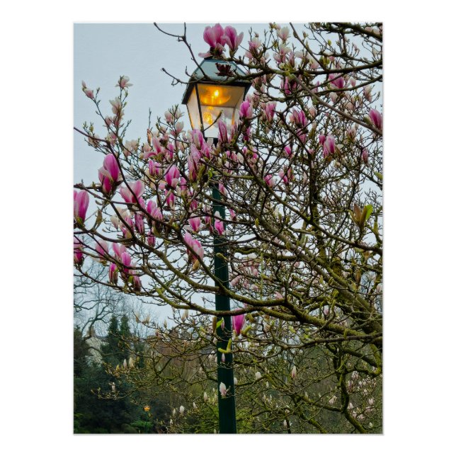 Póster Flores (Frente)