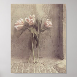 Póster flores