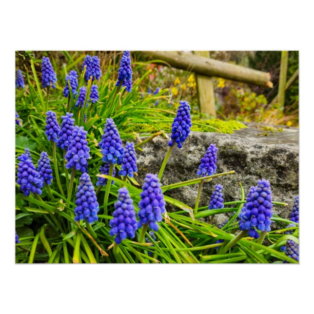 Póster Flores (Frente)