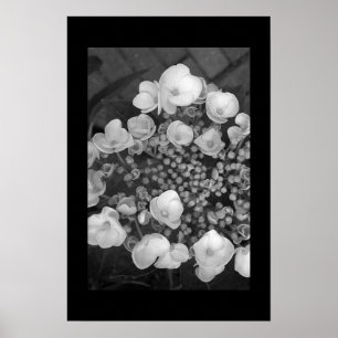 Poster Flores