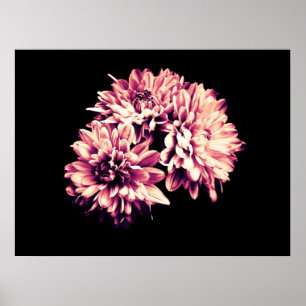 Poster Flores