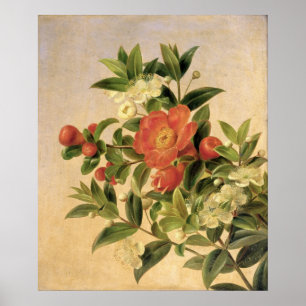 Póster Flores, 1835