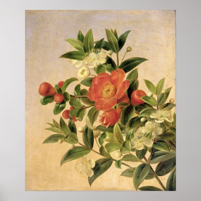 Póster Flores, 1835 (Frente)