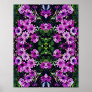 Poster Flores Africanas de Daisy Olham Abstrato