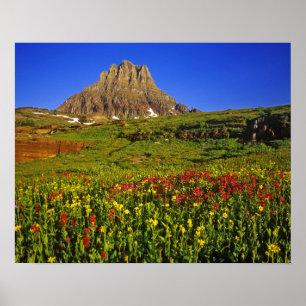 Póster Flores alpinas na passagem Logan em Glacier