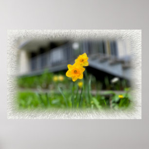 Poster Flores amarelas bem-vindas