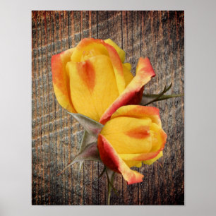 Poster Flores Amarelas De Rosebud A Bordo