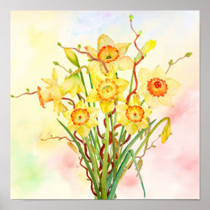 Póster Flores amarelas do primavera dos Daffodils da