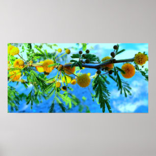 Poster Flores amarelas em um ramo de árvore