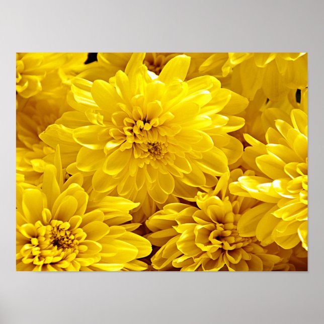 Poster Flores amarelas frescas Fechem (Frente)