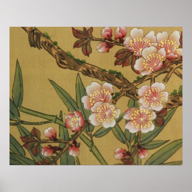 Póster Flores Asiáticas Japonesas de Cerejeira Vintage (Frente)