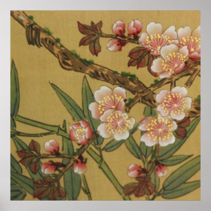 Póster Flores Asiáticas Japonesas de Cerejeira Vintage