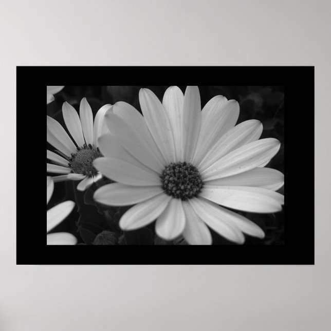 Poster Flores B&W (Frente)