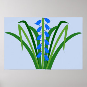 Poster Flores Bluebell Menino Bebê Primavera