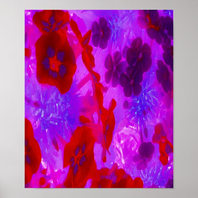 Poster Flores bonito de Phlox Roxo e Jardim Vermelho (Frente)