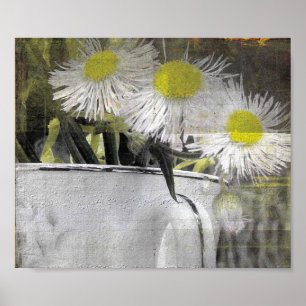 Póster Flores bonito Semelhantes à Margarida em um Grupo