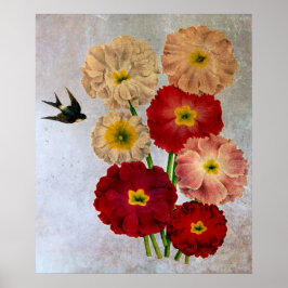 Póster Flores Botânicas Antigas Andorinha Azul Rústica