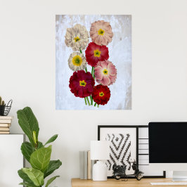 Póster Flores Botânicas Antigas Rosas Vermelhas Rosadas e