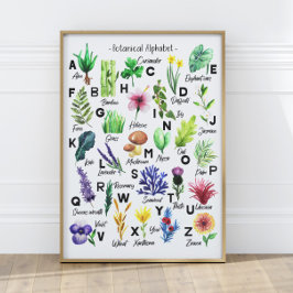 Poster Flores Botânicas Cutas Alphabet Baby Nursery