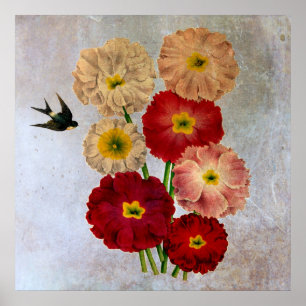 Póster Flores Botânicas Vintage Engolir Pássaros Azul Rus