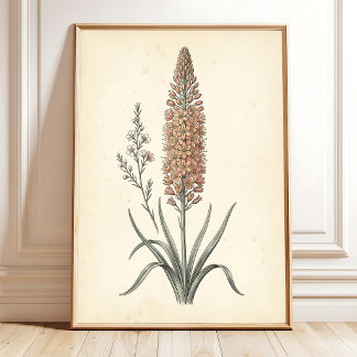 Poster Flores Botânicos Vintage Arte em Tela de Casa de C