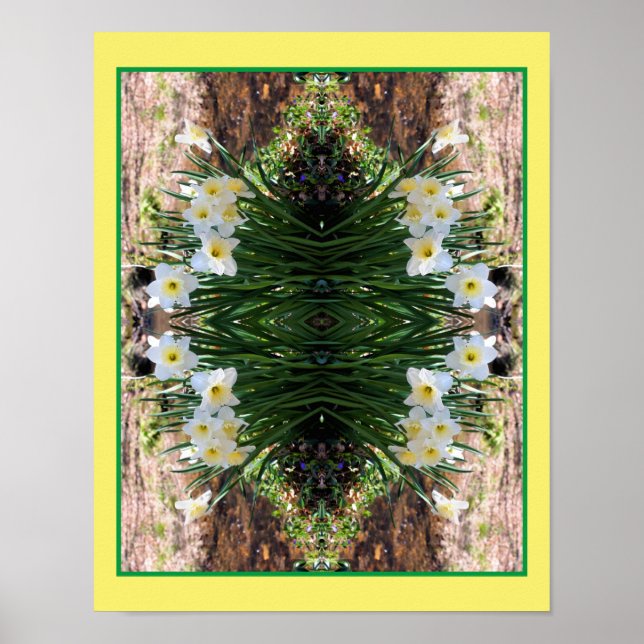 Poster Flores Brancas De Daffodil Por Abstrato De Espelho (Frente)
