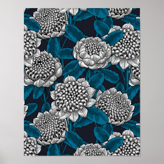 Poster Flores brancas de waratah (Frente)